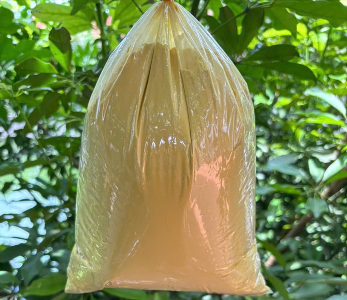 Bột Nghệ